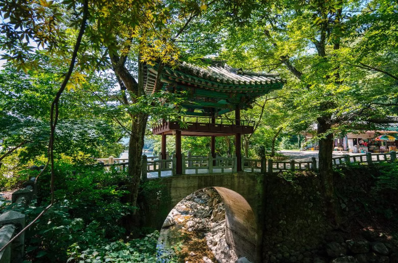 프로그램 이미지 썸네일 3